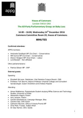 [H] The All Party Parliamentary Group on Baby Loss.pdf