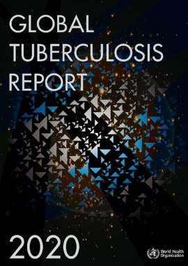 [Avi]WHO Global Tuberculosis Report 2020.pdf