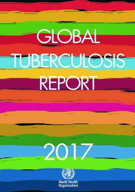 [Aiii]WHO Global Tuberculosis Report 2017.pdf