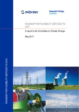E2c - Roadmap for flexibility services to 2030.pdf