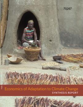 [A] Economics of Adaptation to Climate Change : Synthesis Report