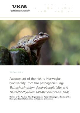 [C] The pathogenic fungi Batrachochytrium dendrobatidis and Batrachochytrium salamandrivorans and risk of negative impact on biodiversity